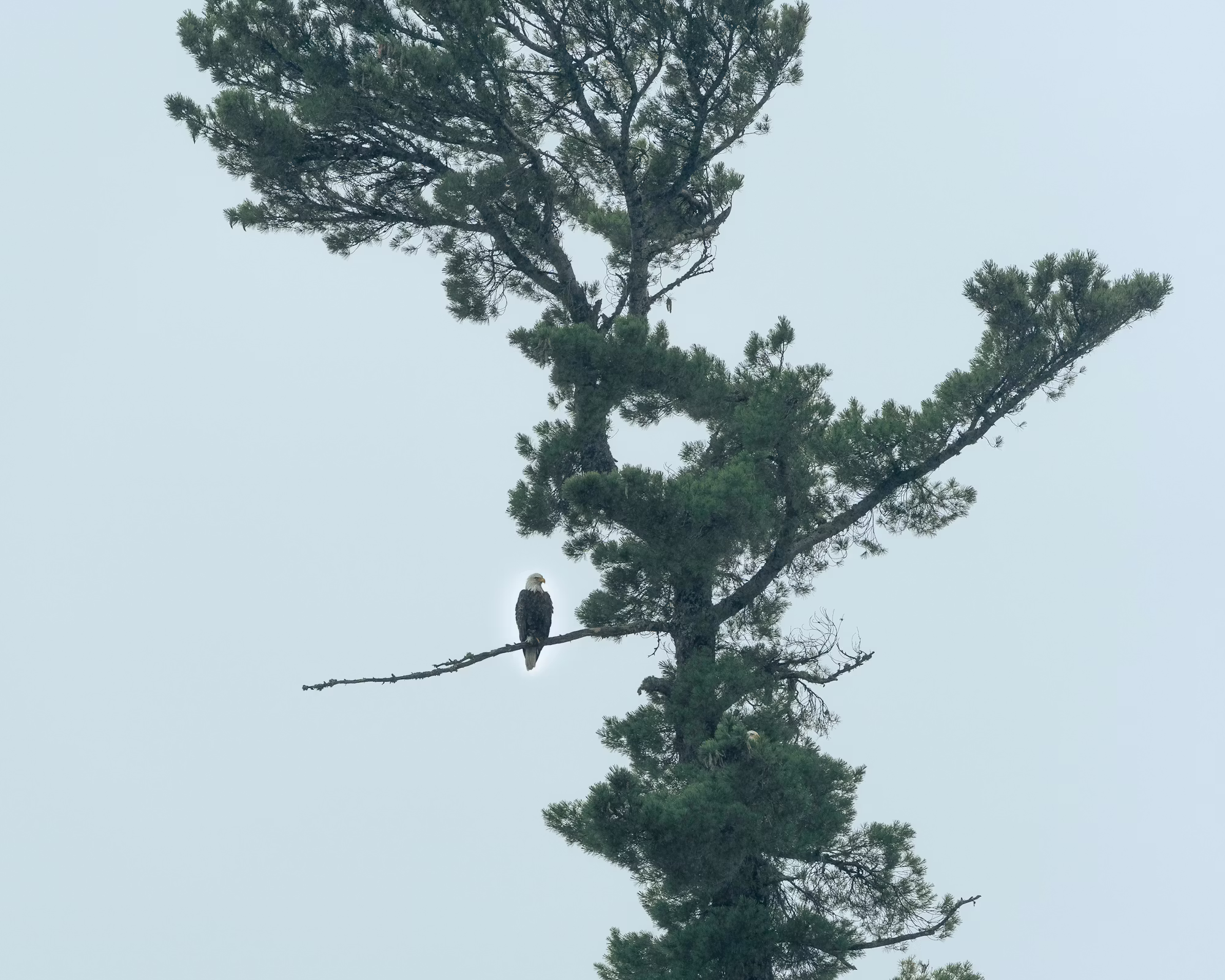 A Beginner’s Guide to Sustainable Travel: How to Explore the World Responsibly